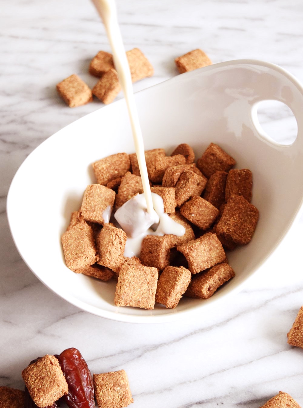 Vegan 3 Ingredient Cinnamon Cereal - Sweet Vegan Sara