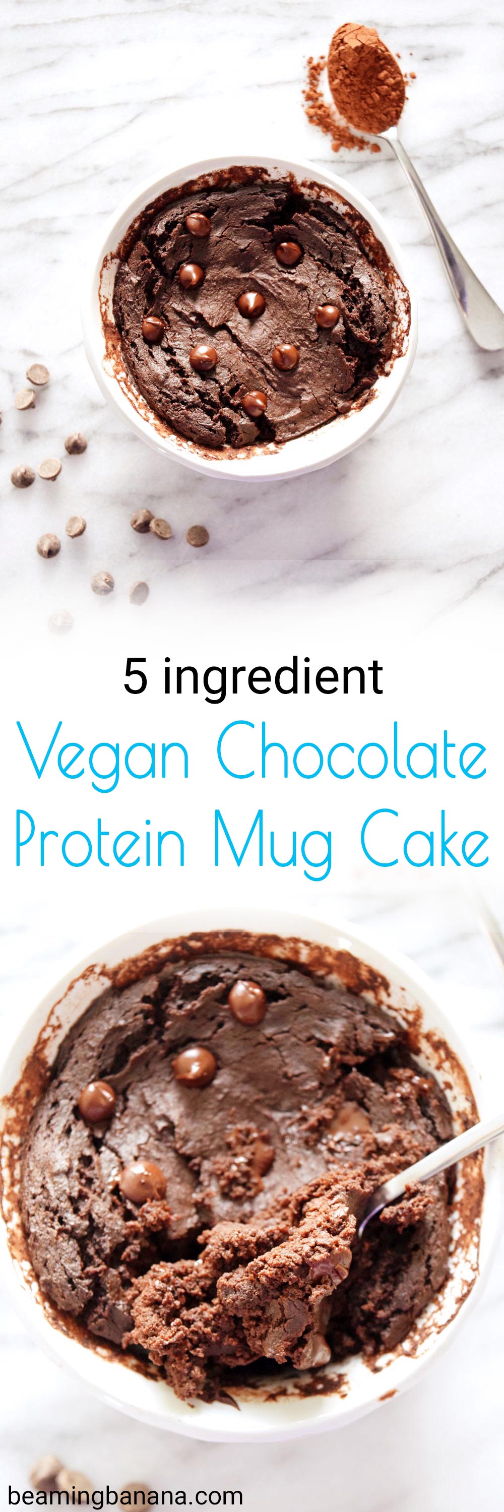 Vegan Chocolate Protein Mug Cake - Sweet Vegan Sara