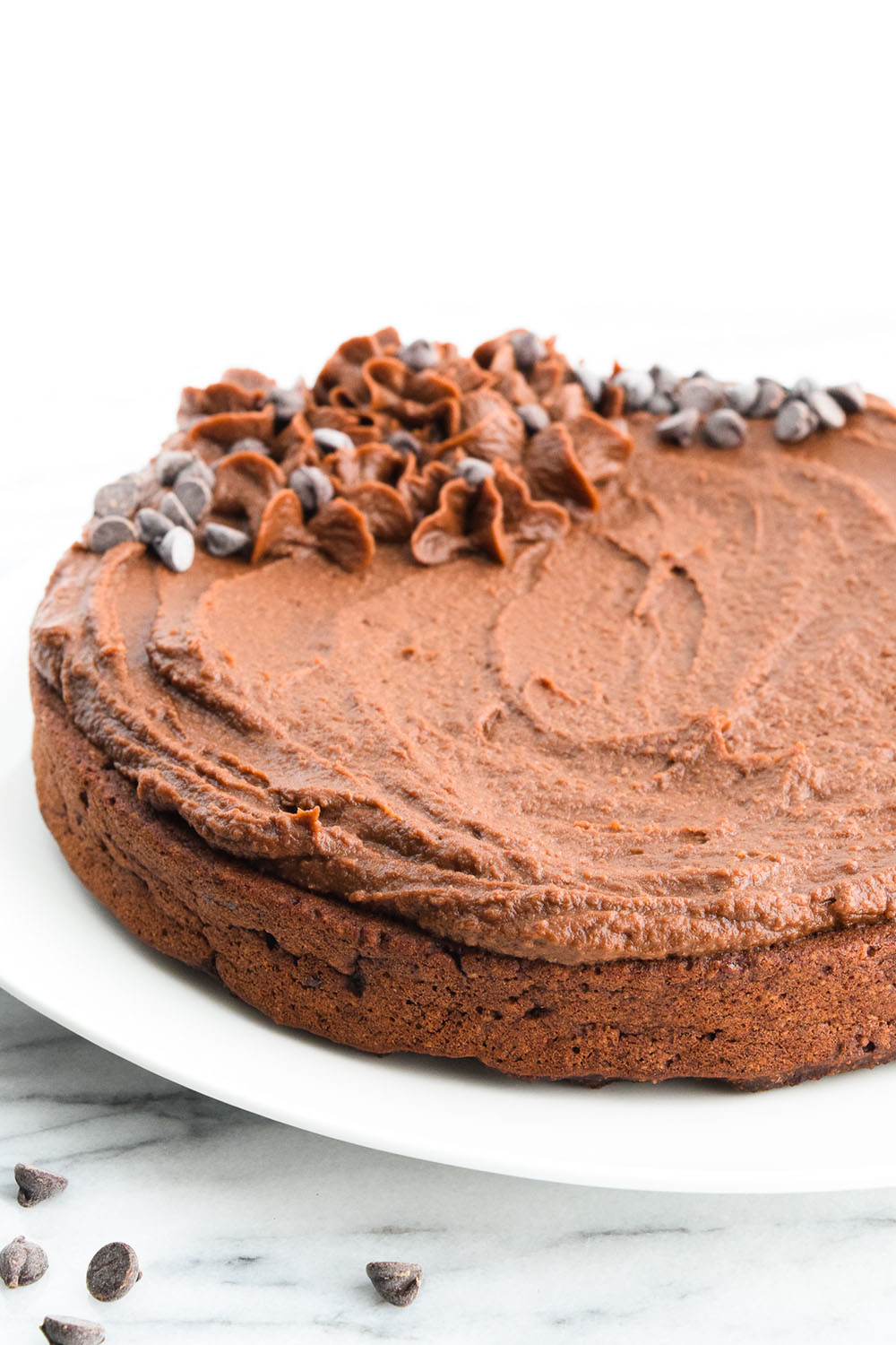 Vegan Chocolate Cake with Chocolate Frosting